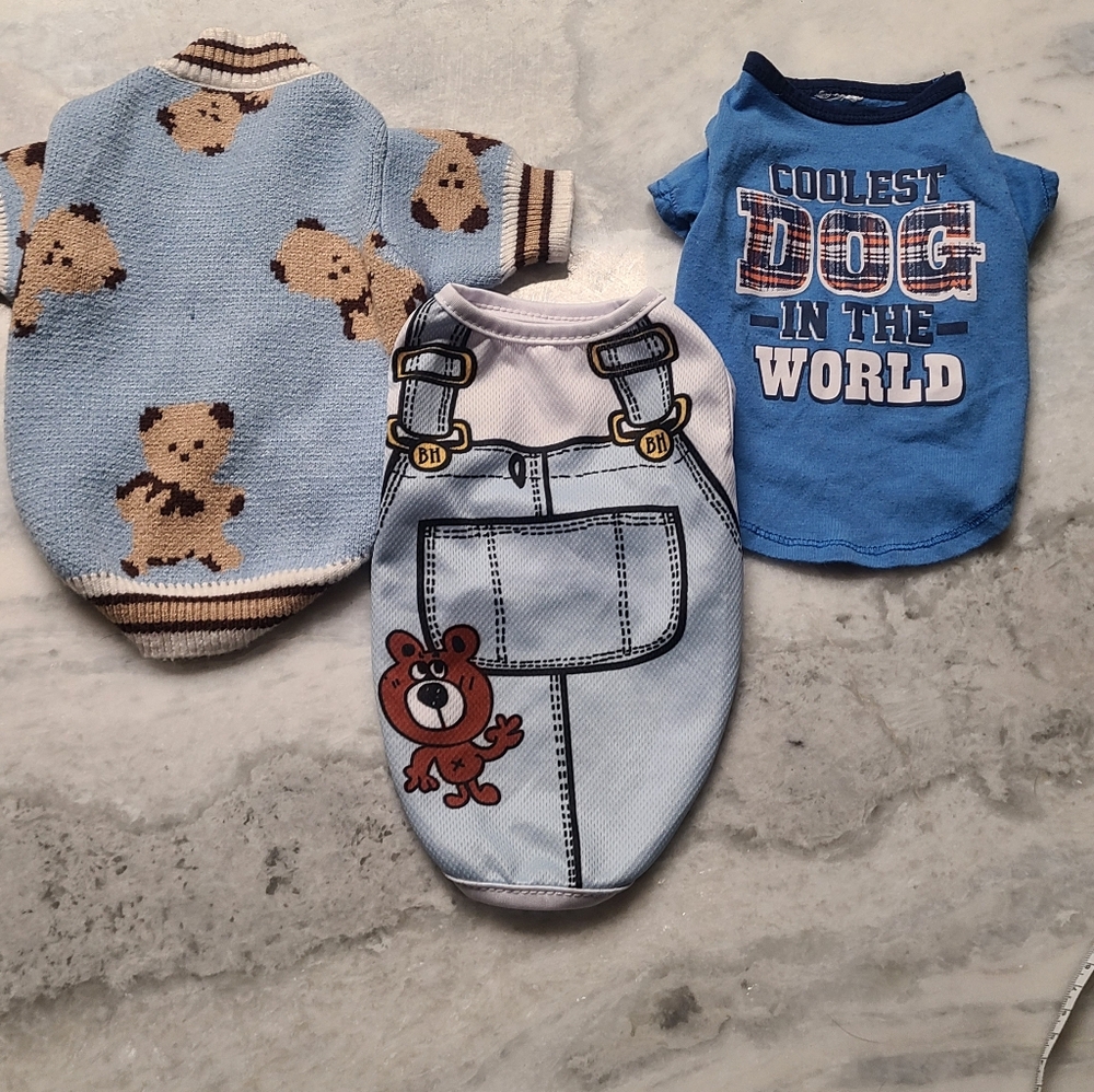 Teddy Dog Sweater And Tee Set Of 3